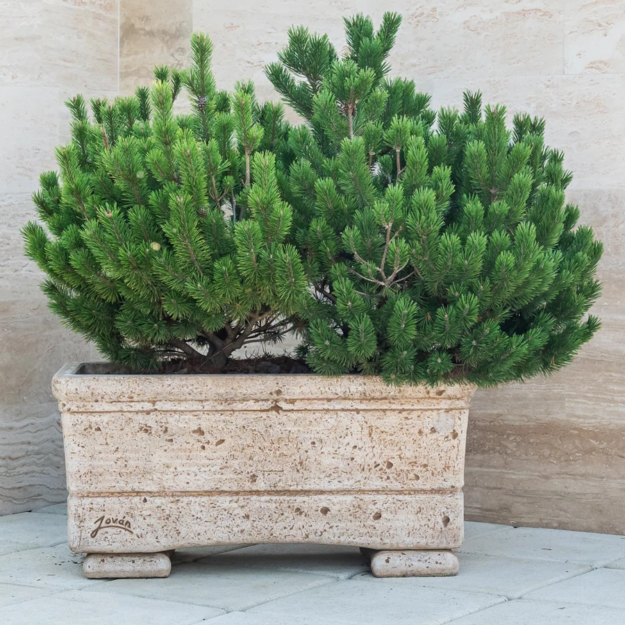 BUDAPEST 101 kültéri kő virágláda